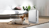 Mitsubishi Electric Air Purifier - Japanese Quality